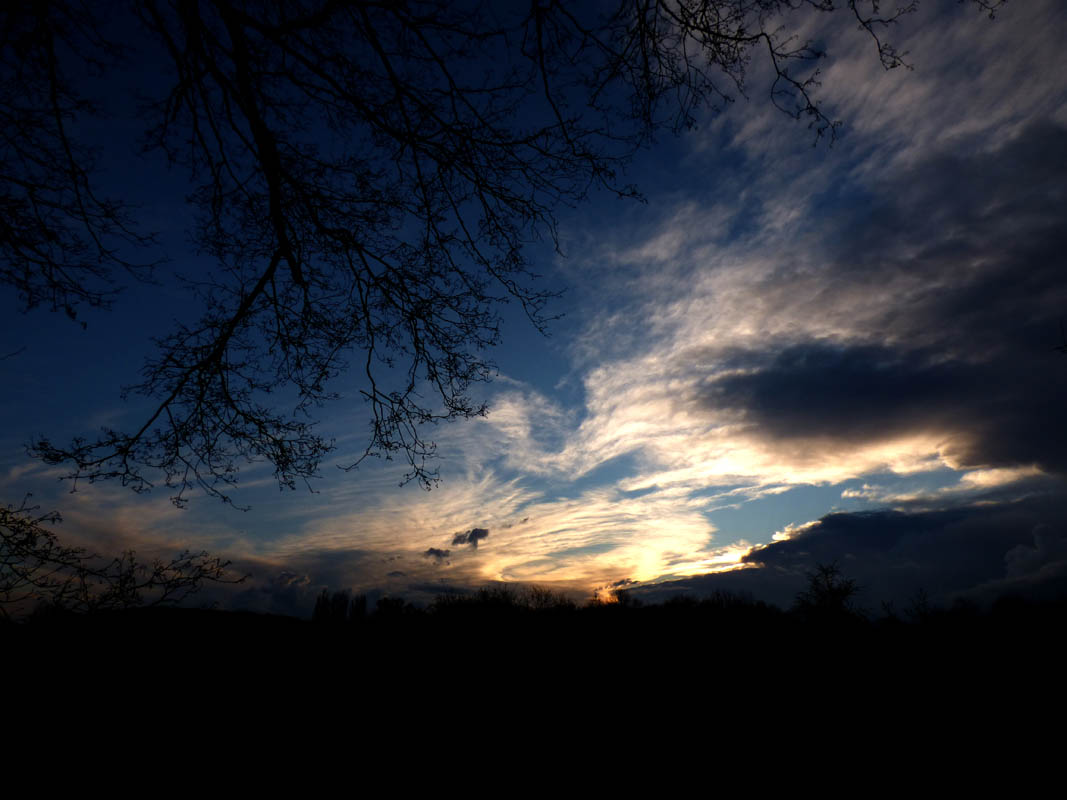 Coucher de roseaux