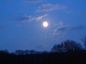 Rayons du Soir