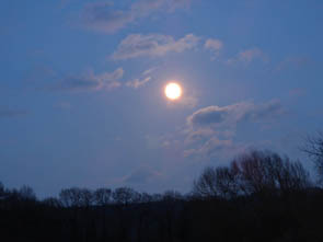 Rayons du Soir