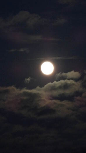 Rayons du Soir