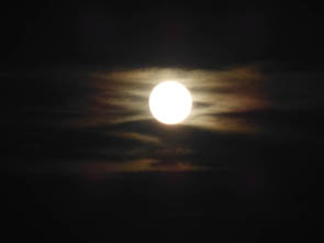 Rayons du Soir