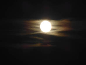 Rayons du Soir