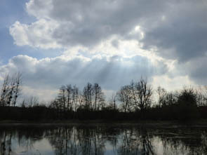 Rayons du Soir