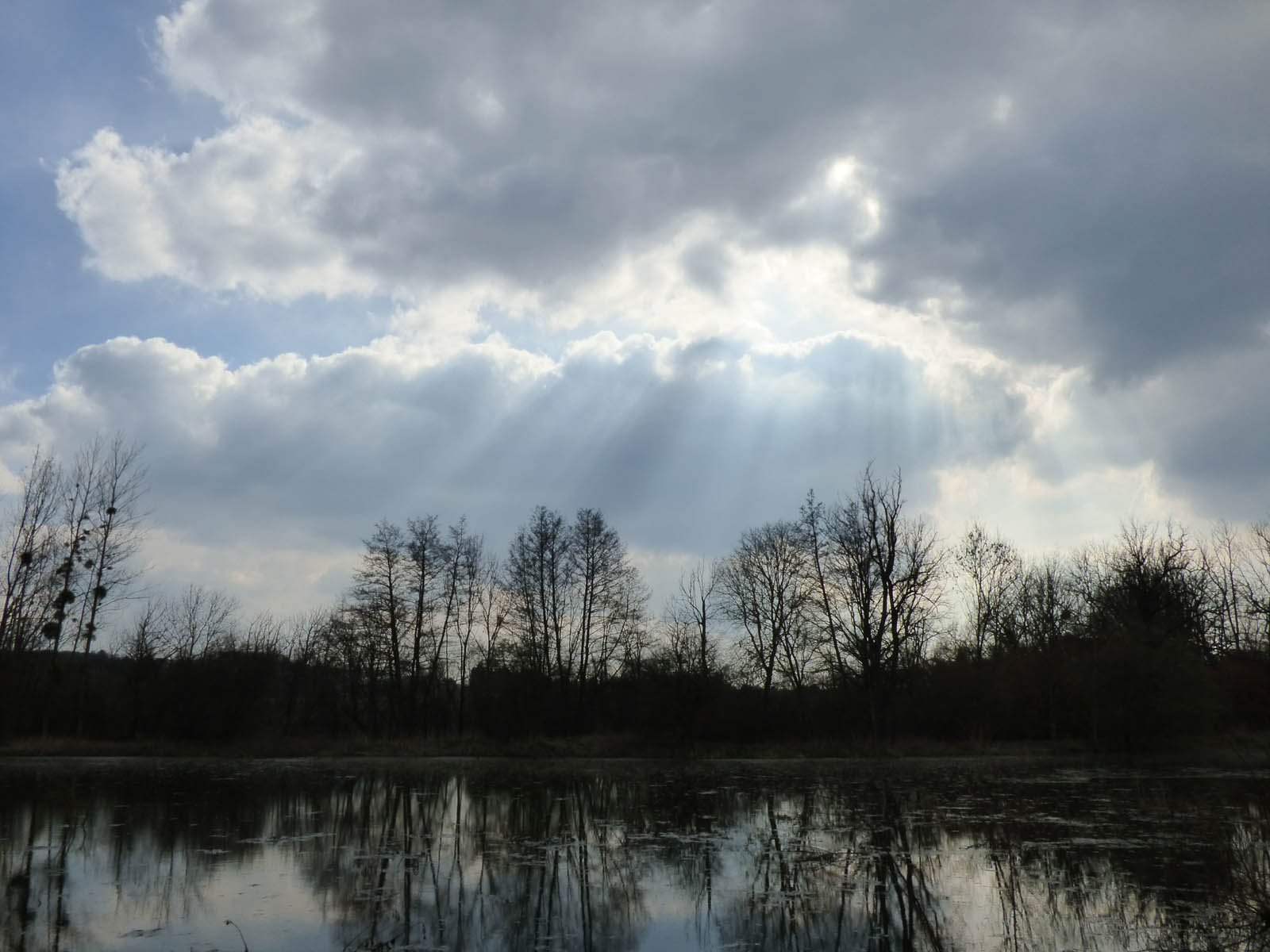 Rayons du soir