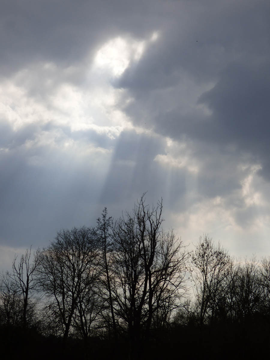 Rayons du soir