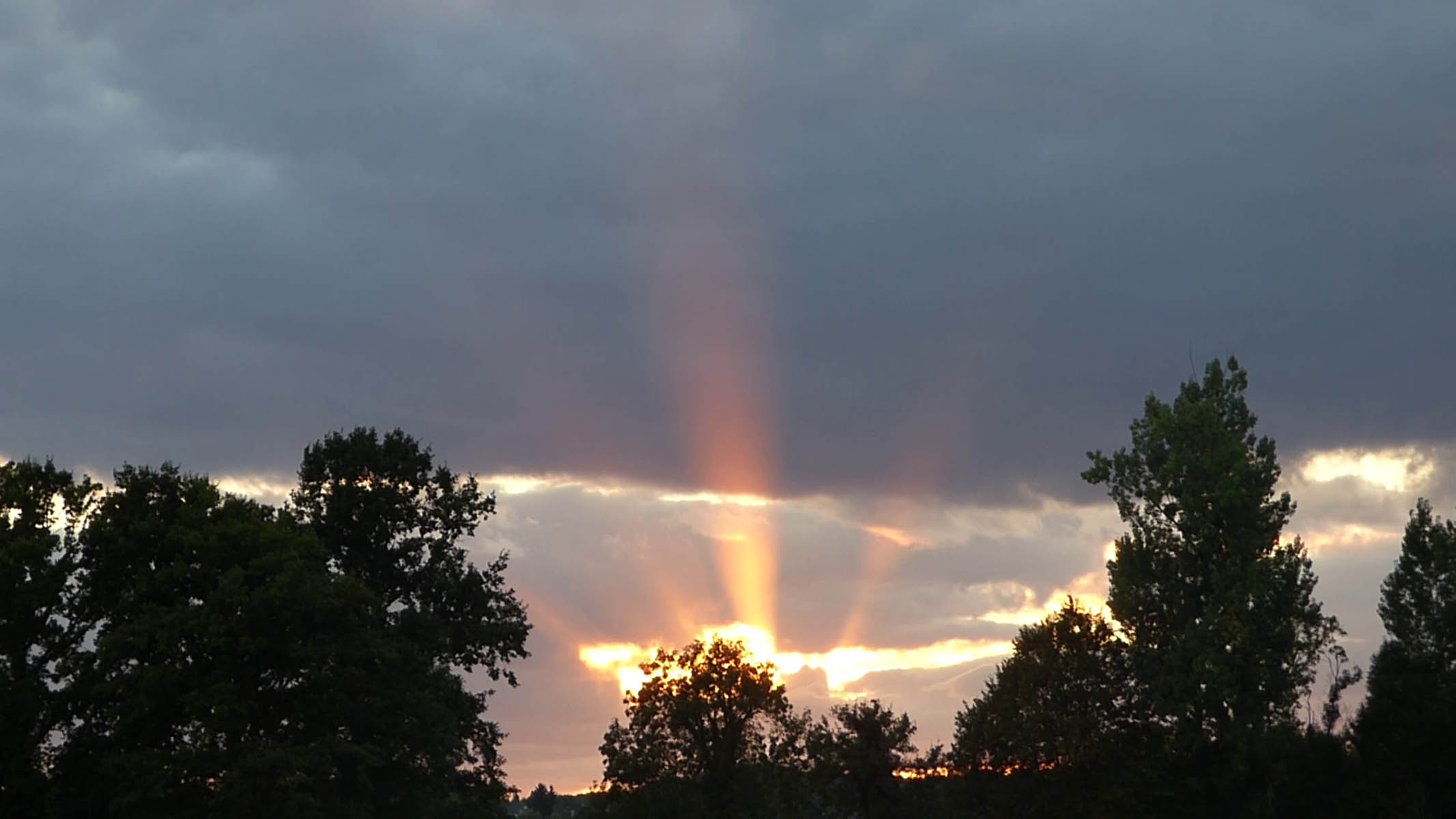 Rayons du soir