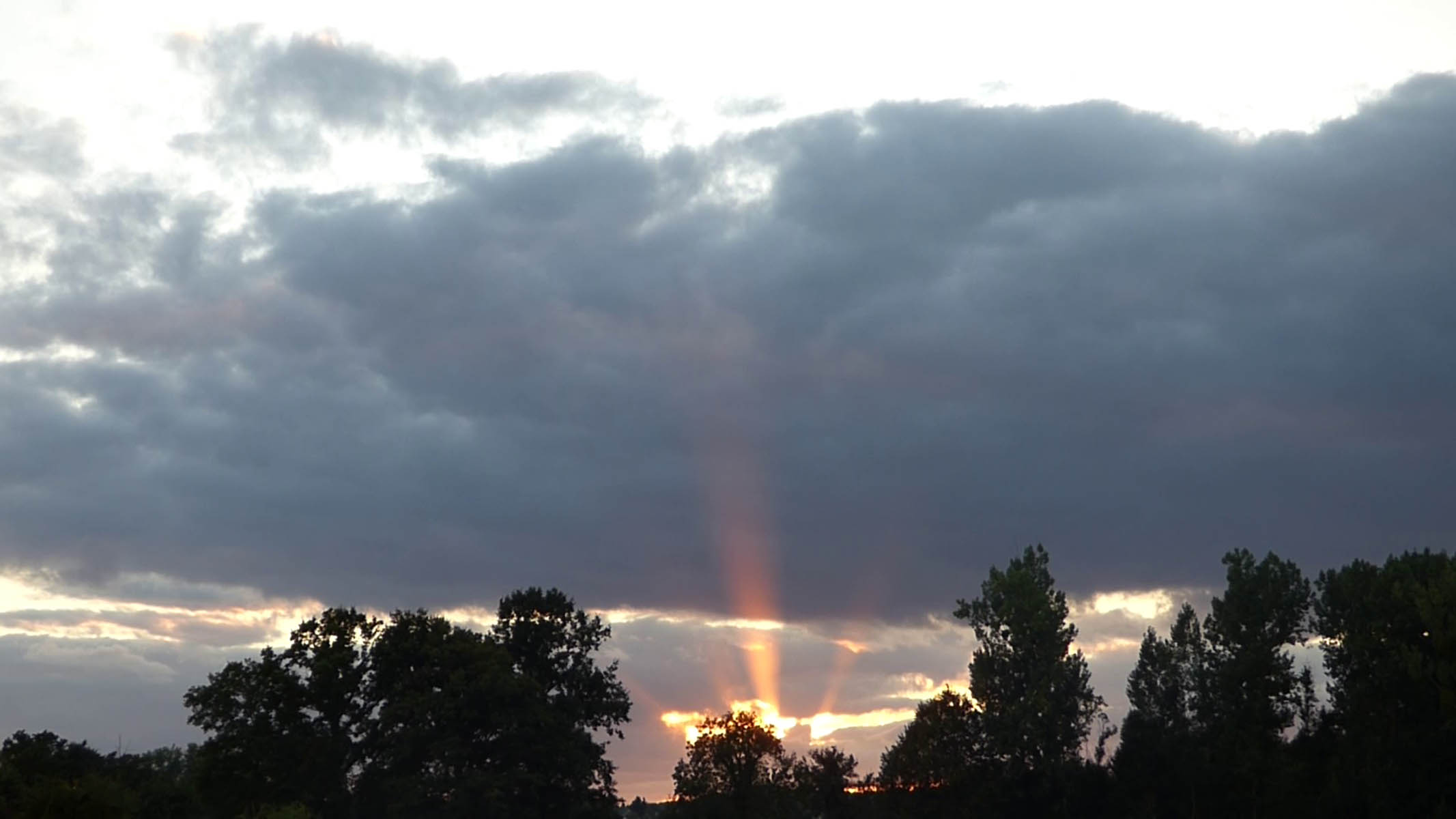 Rayons du soir