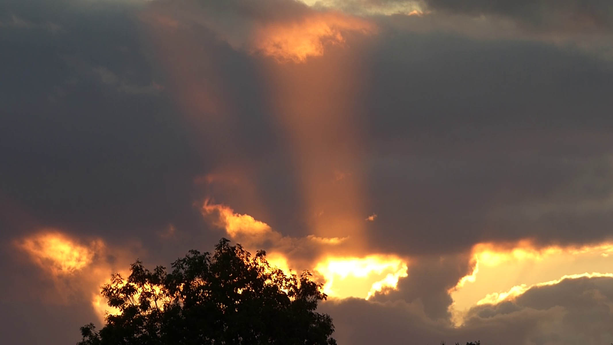 Rayons du soir