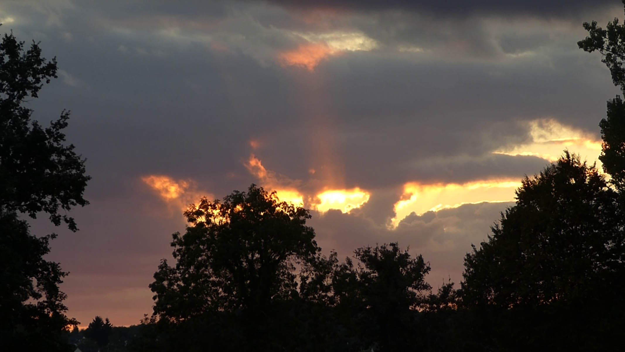 Rayons du soir