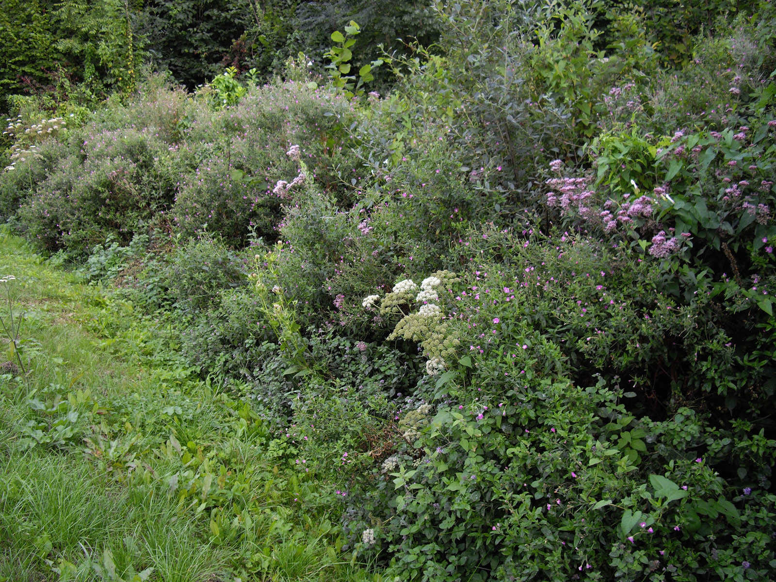 . Ruisseau enfouî.. un vrai jardin!!