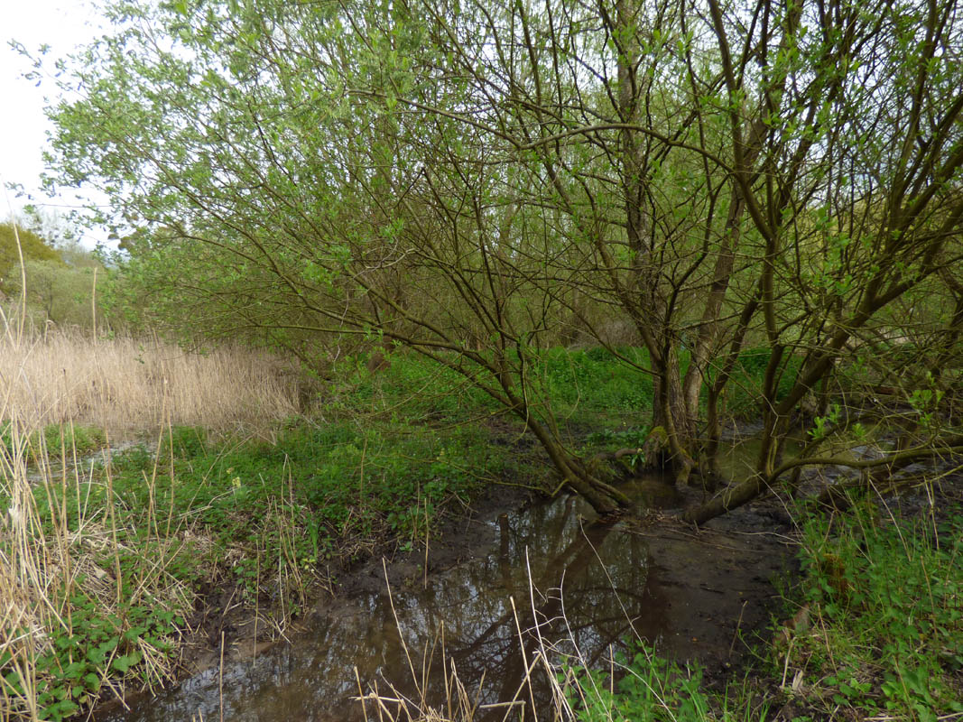 Ballade discrète dans le GOUY (30 avril 2016)