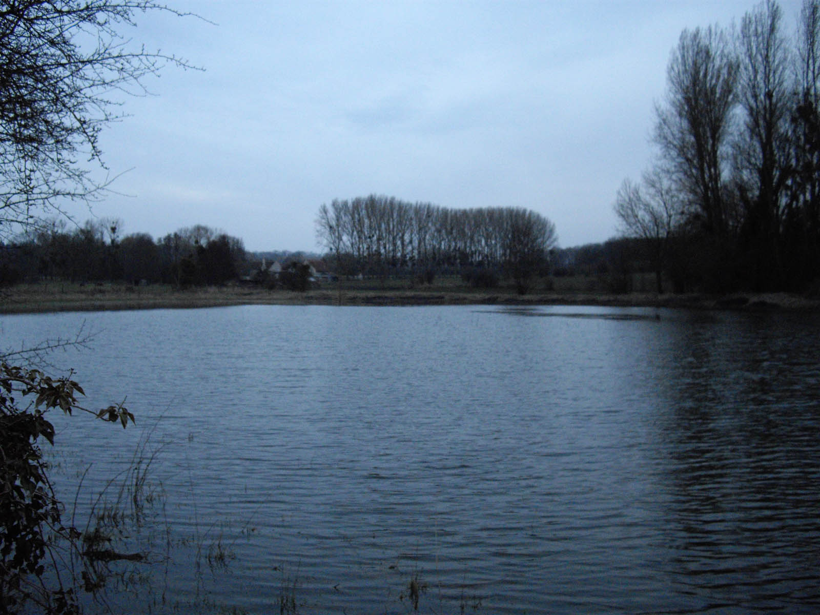 Etang de la flache