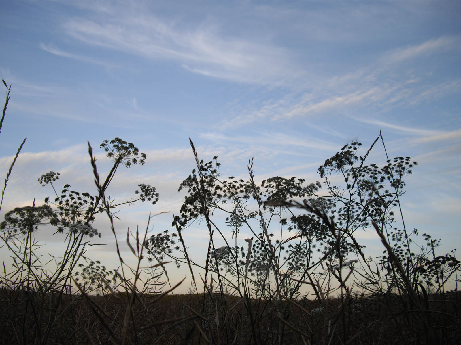 La vallée de l'Ysieux - Luzarches