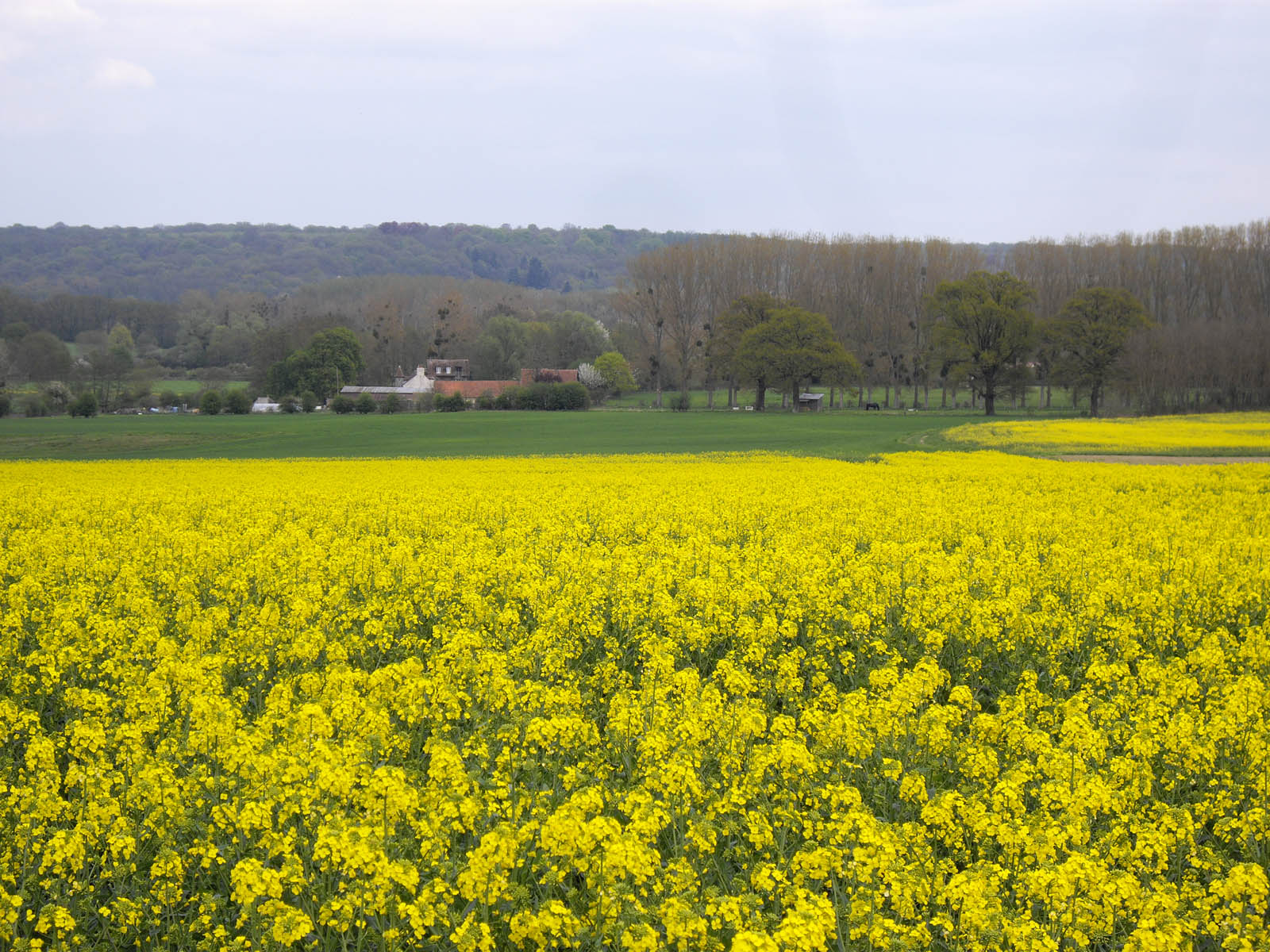 Le moulin de Luzarches(17ème-s.)