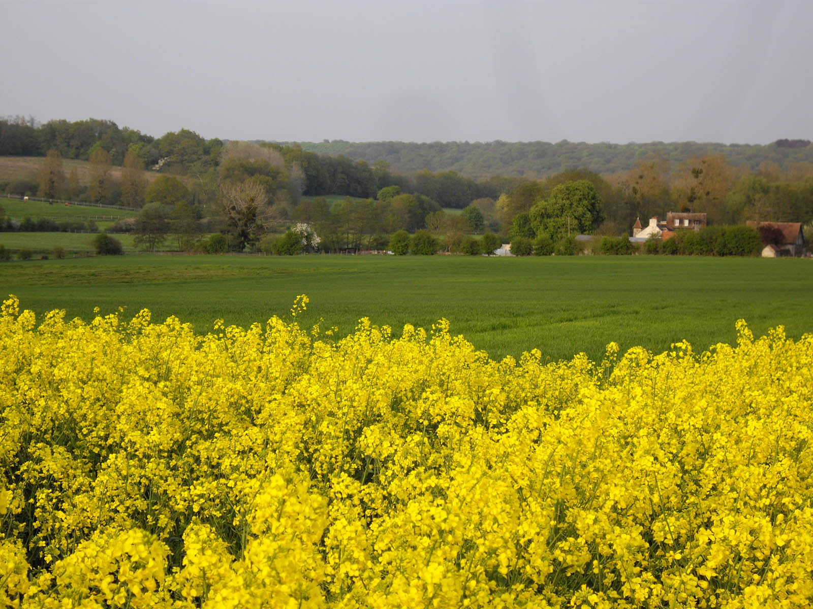 Le moulin de Luzarches(17ème-s.)
