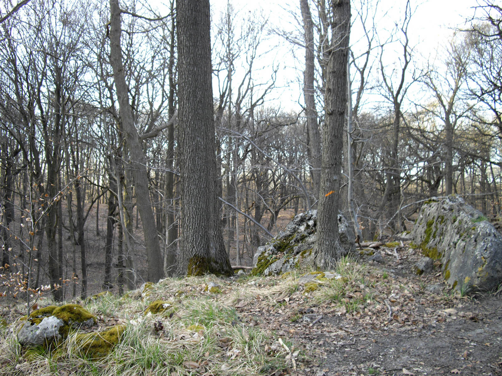 Les brûlis, à Chaumontel