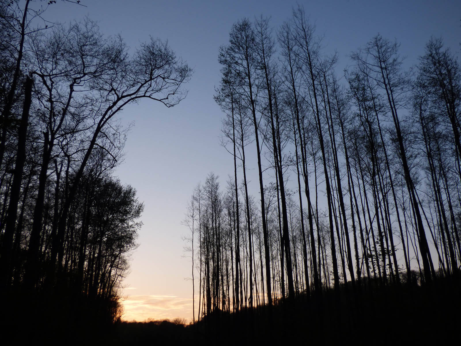 Paysages luzarchois du soir