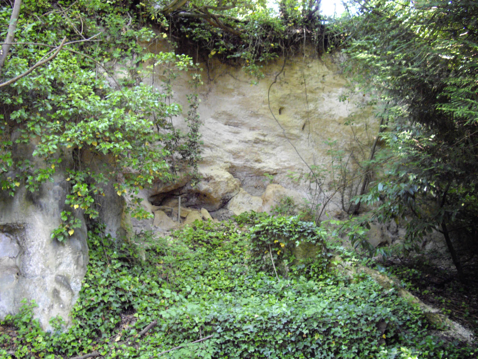 Le plateau de saint Côme (Luzarches)