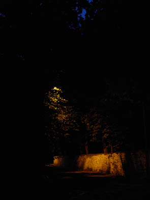 La forêt de Rocquemont (Luzarches)
