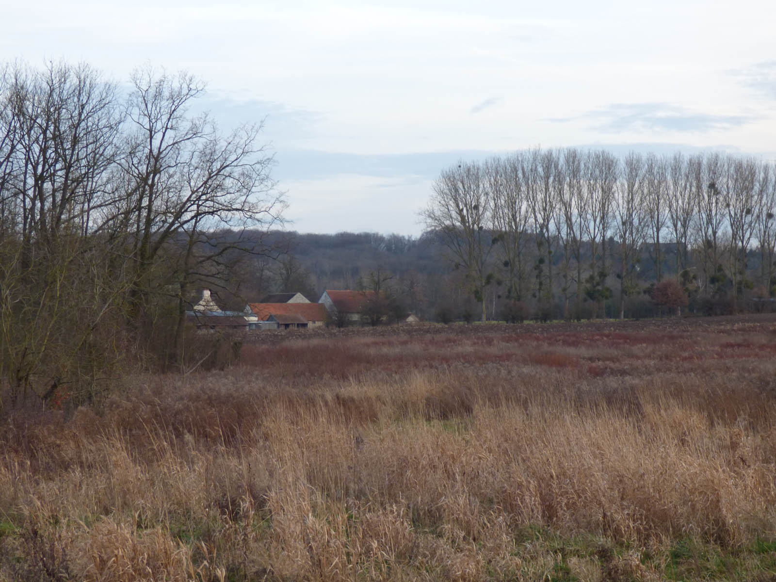 Paysages luzarchois